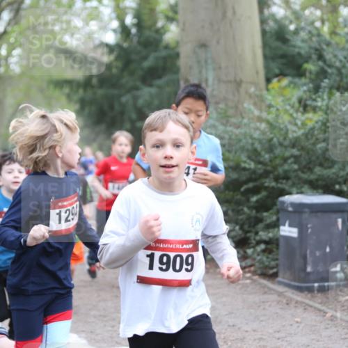 13.04.2025 - Hammer Lauf Jannik Wohlers http://msf.ph/oto/7626526 13.04.2025 08:21:10 Laufen 15, 129, 15, 1909, 115, 15 meine-sportfotos.de