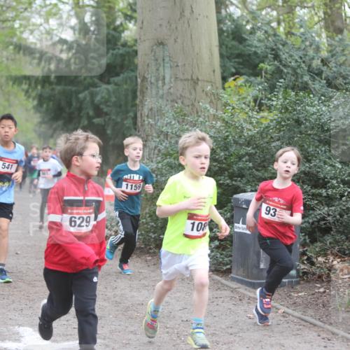 13.04.2025 - Hammer Lauf Jannik Wohlers http://msf.ph/oto/7626531 13.04.2025 08:21:09 Laufen 1909, 1485, 541, 15, 629, 1159, 108, 93 meine-sportfotos.de
