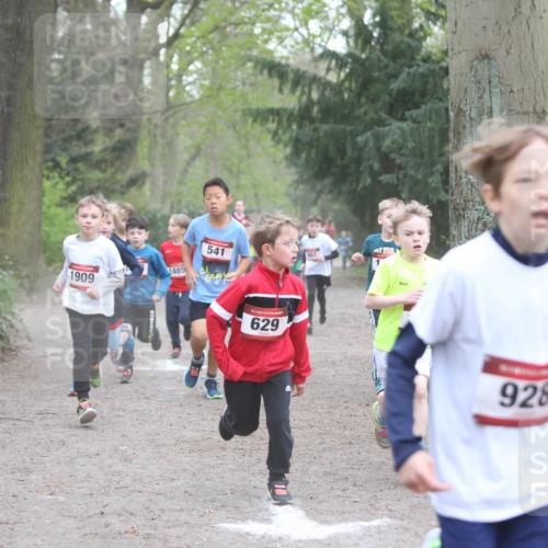 13.04.2025 - Hammer Lauf Jannik Wohlers http://msf.ph/oto/7626533 13.04.2025 08:21:08 Laufen 1909, 1485, 541, 861, 15, 629, 928 meine-sportfotos.de
