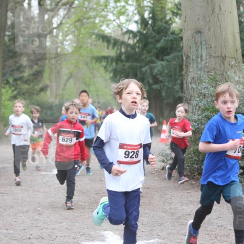 13.04.2025 - Hammer Lauf Jannik Wohlers http://msf.ph/oto/7626536 13.04.2025 08:21:08 Laufen 1909, 541, 629, 15, 928, 0 meine-sportfotos.de