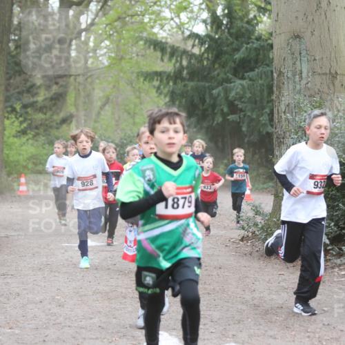 13.04.2025 - Hammer Lauf Jannik Wohlers http://msf.ph/oto/7626542 13.04.2025 08:21:06 Laufen 909, 928, 6, 6, 1879, 933, 159, 932 meine-sportfotos.de