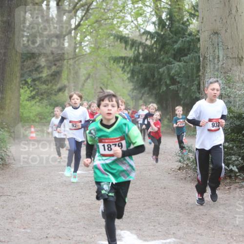 13.04.2025 - Hammer Lauf Jannik Wohlers http://msf.ph/oto/7626543 13.04.2025 08:21:06 Laufen 92, 1879, 159, 932 meine-sportfotos.de