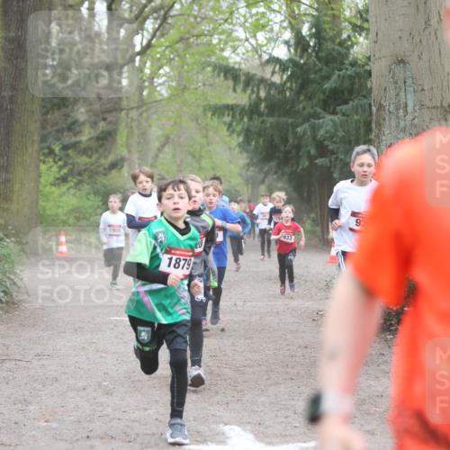 13.04.2025 - Hammer Lauf Jannik Wohlers http://msf.ph/oto/7626545 13.04.2025 08:21:05 Laufen 1909, 1879, 933, 93, 17 meine-sportfotos.de