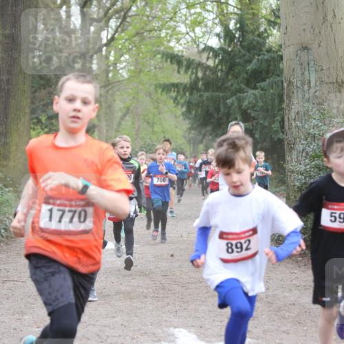 13.04.2025 - Hammer Lauf Jannik Wohlers http://msf.ph/oto/7626549 13.04.2025 08:21:05 Laufen 1770, 20, 700, 892, 594 meine-sportfotos.de
