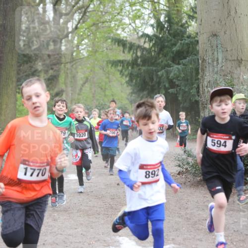 13.04.2025 - Hammer Lauf Jannik Wohlers http://msf.ph/oto/7626550 13.04.2025 08:21:04 Laufen 1770, 79, 1159, 32, 700, 1020, 892, 594, 779 meine-sportfotos.de