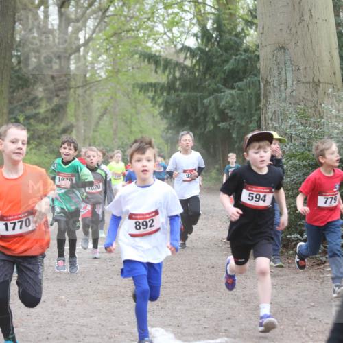 13.04.2025 - Hammer Lauf Jannik Wohlers http://msf.ph/oto/7626552 13.04.2025 08:21:04 Laufen 189, 020, 1770, 10, 892, 93, 594, 779, 141 meine-sportfotos.de