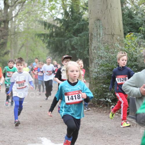 13.04.2025 - Hammer Lauf Jannik Wohlers http://msf.ph/oto/7626555 13.04.2025 08:21:03 Laufen 1770, 892, 15, 1418, 1529, 1 meine-sportfotos.de