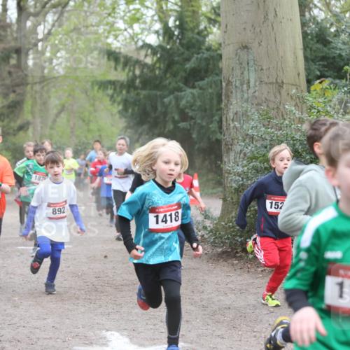 13.04.2025 - Hammer Lauf Jannik Wohlers http://msf.ph/oto/7626556 13.04.2025 08:21:03 Laufen 1770, 1879, 892, 15, 1418, 152, 1160 meine-sportfotos.de