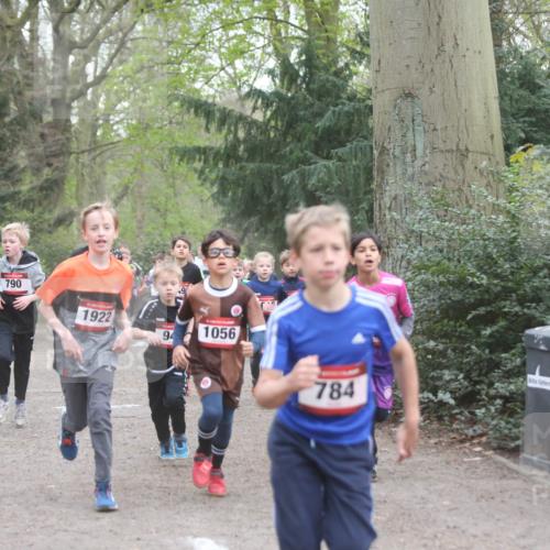 13.04.2025 - Hammer Lauf Jannik Wohlers http://msf.ph/oto/7626576 13.04.2025 08:20:59 Laufen 790, 1922, 1056, 94, 784, 804 meine-sportfotos.de