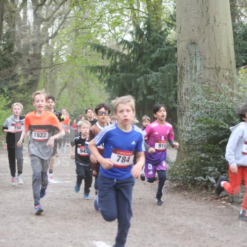 13.04.2025 - Hammer Lauf Jannik Wohlers http://msf.ph/oto/7626578 13.04.2025 08:20:59 Laufen 790, 1922, 943, 784, 910, 804 meine-sportfotos.de
