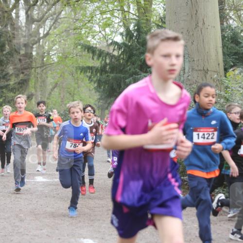 13.04.2025 - Hammer Lauf Jannik Wohlers http://msf.ph/oto/7626582 13.04.2025 08:20:58 Laufen 1725, 79, 1922, 78, 56, 1422, 10, 508 meine-sportfotos.de