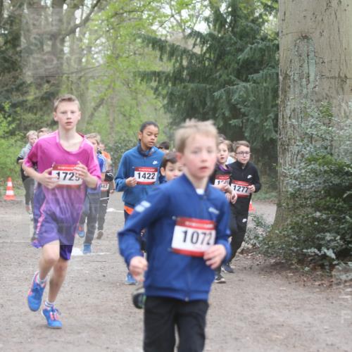 13.04.2025 - Hammer Lauf Jannik Wohlers http://msf.ph/oto/7626589 13.04.2025 08:20:57 Laufen 1725, 1422, 943, 1072, 1, 1277, 764 meine-sportfotos.de