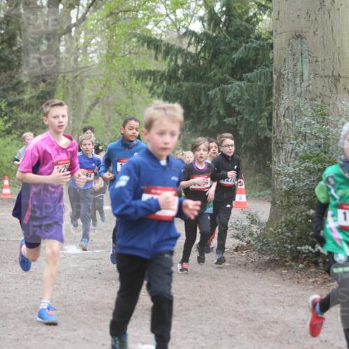 13.04.2025 - Hammer Lauf Jannik Wohlers http://msf.ph/oto/7626590 13.04.2025 08:20:57 Laufen 729, 84, 272, 1764 meine-sportfotos.de