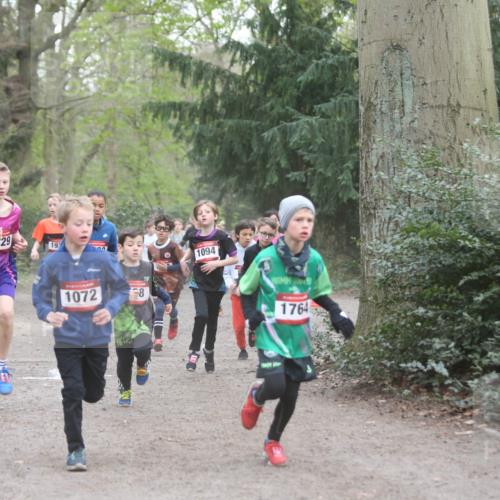 13.04.2025 - Hammer Lauf Jannik Wohlers http://msf.ph/oto/7626595 13.04.2025 08:20:56 Laufen 729, 192, 1072, 8, 1094, 1764 meine-sportfotos.de