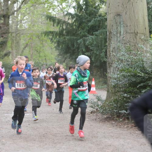 13.04.2025 - Hammer Lauf Jannik Wohlers http://msf.ph/oto/7626596 13.04.2025 08:20:55 Laufen 1729, 1056, 1094, 8, 1072, 508 meine-sportfotos.de