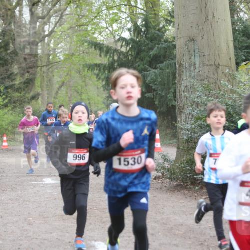13.04.2025 - Hammer Lauf Jannik Wohlers http://msf.ph/oto/7626602 13.04.2025 08:20:54 Laufen 1720, 1422, 996, 1530, 7, 424 meine-sportfotos.de
