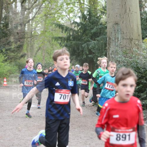 13.04.2025 - Hammer Lauf Jannik Wohlers http://msf.ph/oto/7626611 13.04.2025 08:20:52 Laufen 1530, 996, 7011, 7, 1102, 1133, 891 meine-sportfotos.de