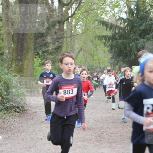 13.04.2025 - Hammer Lauf Jannik Wohlers http://msf.ph/oto/7626621 13.04.2025 08:20:50 Laufen 701, 883, 1, 424, 211, 513, 1004 meine-sportfotos.de