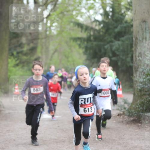 13.04.2025 - Hammer Lauf Jannik Wohlers http://msf.ph/oto/7626624 13.04.2025 08:20:49 Laufen 883, 613, 1004 meine-sportfotos.de