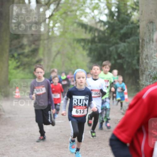13.04.2025 - Hammer Lauf Jannik Wohlers http://msf.ph/oto/7626626 13.04.2025 08:20:49 Laufen 883, 613, 1004, 1006 meine-sportfotos.de