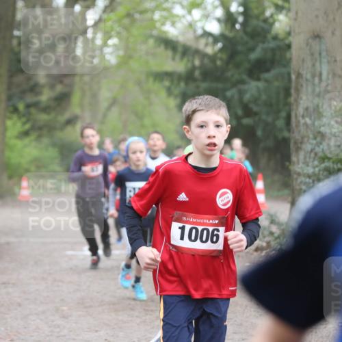 13.04.2025 - Hammer Lauf Jannik Wohlers http://msf.ph/oto/7626629 13.04.2025 08:20:48 Laufen 15, 1006, 16 meine-sportfotos.de