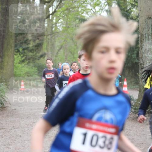 13.04.2025 - Hammer Lauf Jannik Wohlers http://msf.ph/oto/7626630 13.04.2025 08:20:48 Laufen 883, 2024, 1038, 1532 meine-sportfotos.de