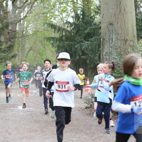 13.04.2025 - Hammer Lauf Jannik Wohlers http://msf.ph/oto/7626647 13.04.2025 08:20:44 Laufen 1038, 1417, 308, 931, 25 meine-sportfotos.de