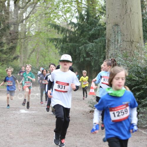 13.04.2025 - Hammer Lauf Jannik Wohlers http://msf.ph/oto/7626648 13.04.2025 08:20:44 Laufen 1038, 1417, 1308, 978, 15, 931, 1259, 909 meine-sportfotos.de
