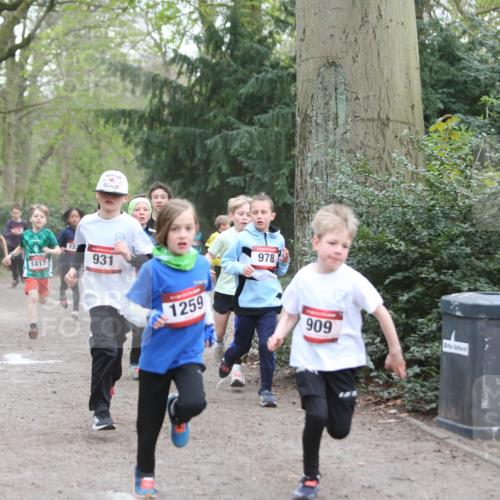 13.04.2025 - Hammer Lauf Jannik Wohlers http://msf.ph/oto/7626651 13.04.2025 08:20:44 Laufen 1038, 1417, 153, 931, 1259, 978, 909 meine-sportfotos.de