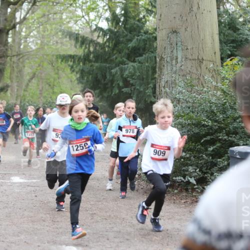 13.04.2025 - Hammer Lauf Jannik Wohlers http://msf.ph/oto/7626652 13.04.2025 08:20:44 Laufen 1038, 1417, 93, 1259, 978, 909 meine-sportfotos.de