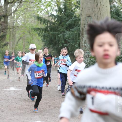 13.04.2025 - Hammer Lauf Jannik Wohlers http://msf.ph/oto/7626653 13.04.2025 08:20:43 Laufen 103, 1417, 1259, 77, 978 meine-sportfotos.de