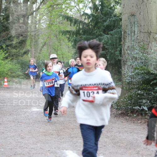 13.04.2025 - Hammer Lauf Jannik Wohlers http://msf.ph/oto/7626654 13.04.2025 08:20:43 Laufen 1038, 1259, 233, 9, 1034, 179 meine-sportfotos.de