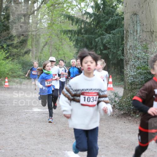13.04.2025 - Hammer Lauf Jannik Wohlers http://msf.ph/oto/7626655 13.04.2025 08:20:43 Laufen 1038, 1259, 31, 235, 1034, 1790 meine-sportfotos.de