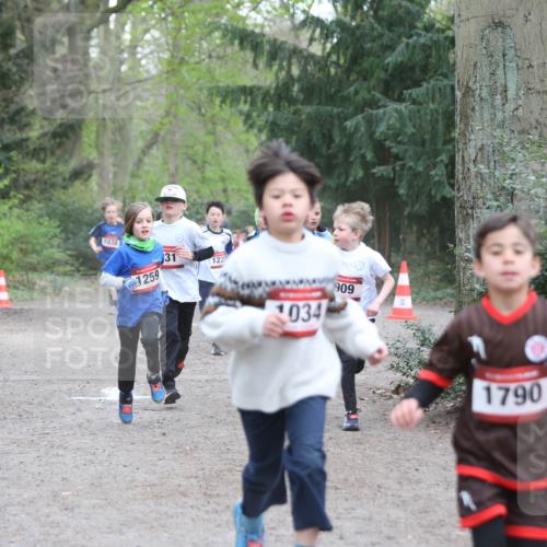 13.04.2025 - Hammer Lauf Jannik Wohlers http://msf.ph/oto/7626656 13.04.2025 08:20:42 Laufen 1038, 1259, 31, 1235, 1034, 909, 1790 meine-sportfotos.de