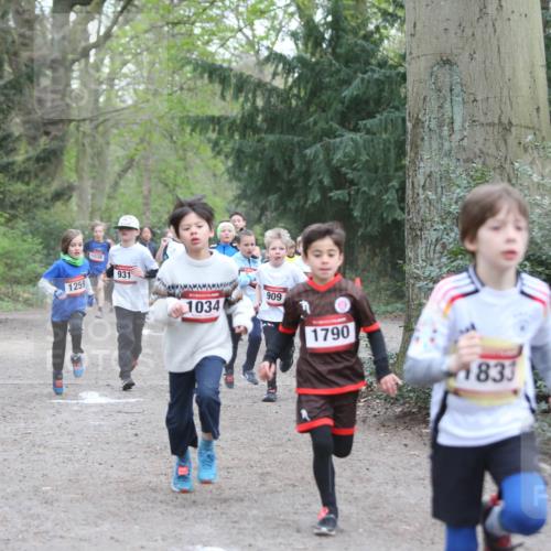 13.04.2025 - Hammer Lauf Jannik Wohlers http://msf.ph/oto/7626660 13.04.2025 08:20:42 Laufen 1038, 931, 1259, 1034, 909, 1790, 1833, 1 meine-sportfotos.de