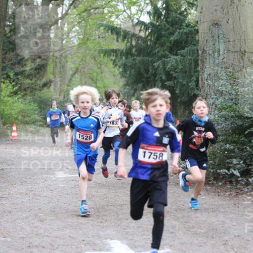 13.04.2025 - Hammer Lauf Jannik Wohlers http://msf.ph/oto/7626672 13.04.2025 08:20:40 Laufen 1259, 1528, 1833, 909, 1758 meine-sportfotos.de
