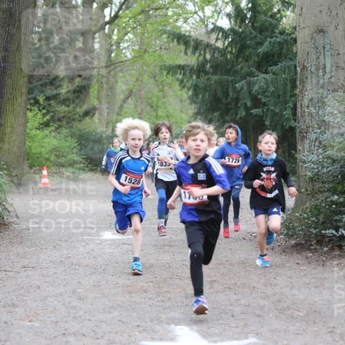 13.04.2025 - Hammer Lauf Jannik Wohlers http://msf.ph/oto/7626674 13.04.2025 08:20:39 Laufen 1528, 1835, 170, 1726, 5 meine-sportfotos.de