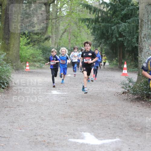 13.04.2025 - Hammer Lauf Jannik Wohlers http://msf.ph/oto/7626679 13.04.2025 08:20:37 Laufen 1831, 1758, 1528, 535, 672 meine-sportfotos.de