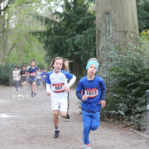 13.04.2025 - Hammer Lauf Jannik Wohlers http://msf.ph/oto/7626688 13.04.2025 08:20:33 Laufen 687, 1012 meine-sportfotos.de