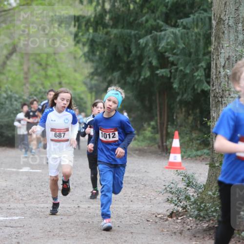 13.04.2025 - Hammer Lauf Jannik Wohlers http://msf.ph/oto/7626690 13.04.2025 08:20:31 Laufen 15, 687, 1012 meine-sportfotos.de