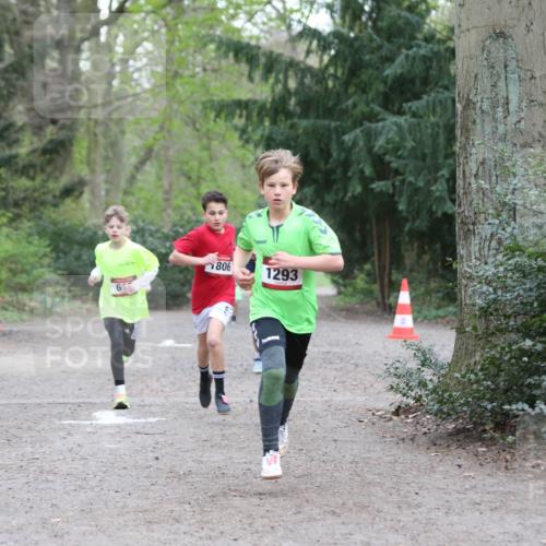 13.04.2025 - Hammer Lauf Jannik Wohlers http://msf.ph/oto/7626738 13.04.2025 08:20:20 Laufen 6, 806, 1293 meine-sportfotos.de