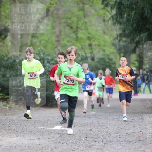 13.04.2025 - Hammer Lauf Jannik Wohlers http://msf.ph/oto/7626749 13.04.2025 08:20:17 Laufen 610, 8, 1293, 1462, 1221 meine-sportfotos.de