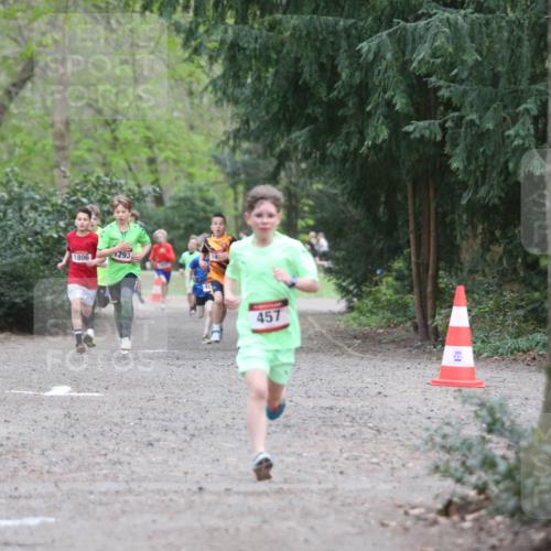 13.04.2025 - Hammer Lauf Jannik Wohlers http://msf.ph/oto/7626756 13.04.2025 08:20:14 Laufen 1293, 1806, 457 meine-sportfotos.de