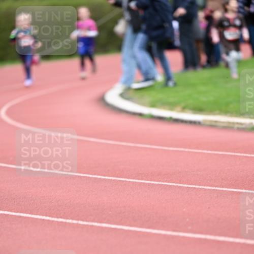 13.04.2025 - Hammer Lauf Dr. Thomas Lammeyer http://msf.ph/oto/7626845 13.04.2025 09:01:47 Laufen  meine-sportfotos.de