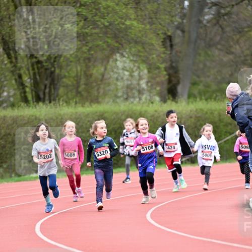 13.04.2025 - Hammer Lauf Dr. Thomas Lammeyer http://msf.ph/oto/7626849 13.04.2025 09:01:49 Laufen 5051, 5202, 5086, 5320, 5106, 424, 509, 5009 meine-sportfotos.de