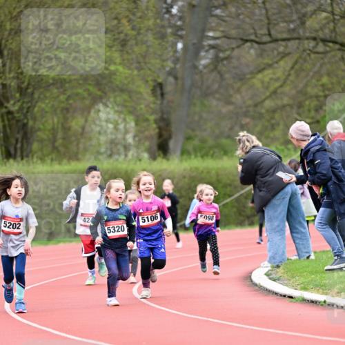 13.04.2025 - Hammer Lauf Dr. Thomas Lammeyer http://msf.ph/oto/7626870 13.04.2025 09:01:52 Laufen 5202, 424, 5106, 098, 5320 meine-sportfotos.de