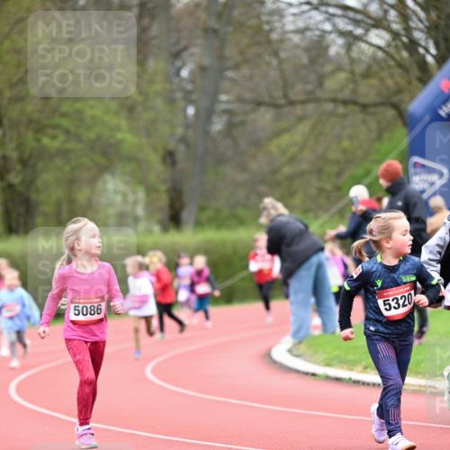 13.04.2025 - Hammer Lauf Dr. Thomas Lammeyer http://msf.ph/oto/7626908 13.04.2025 09:01:56 Laufen 5086, 15, 5320 meine-sportfotos.de