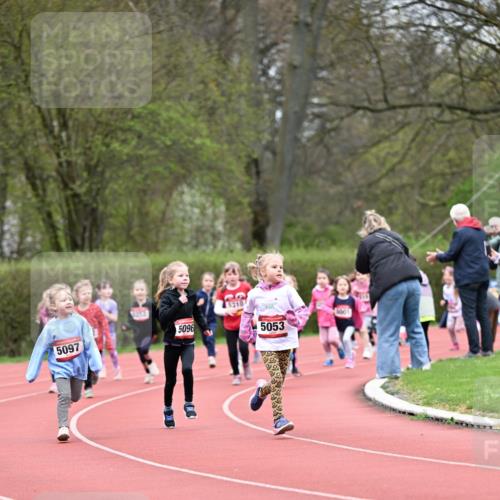 13.04.2025 - Hammer Lauf Dr. Thomas Lammeyer http://msf.ph/oto/7626929 13.04.2025 09:01:59 Laufen 5097, 5096, 210, 5053, 5001 meine-sportfotos.de