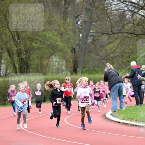 13.04.2025 - Hammer Lauf Dr. Thomas Lammeyer http://msf.ph/oto/7626931 13.04.2025 09:02:00 Laufen 197, 509, 3053, 1001 meine-sportfotos.de