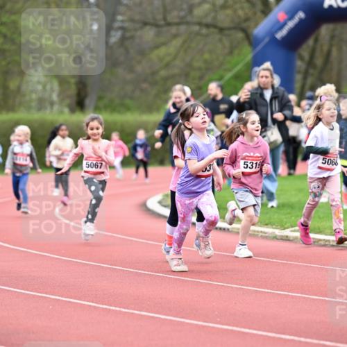 13.04.2025 - Hammer Lauf Dr. Thomas Lammeyer http://msf.ph/oto/7626992 13.04.2025 09:02:09 Laufen 5040, 5067, 31, 5319, 5068 meine-sportfotos.de
